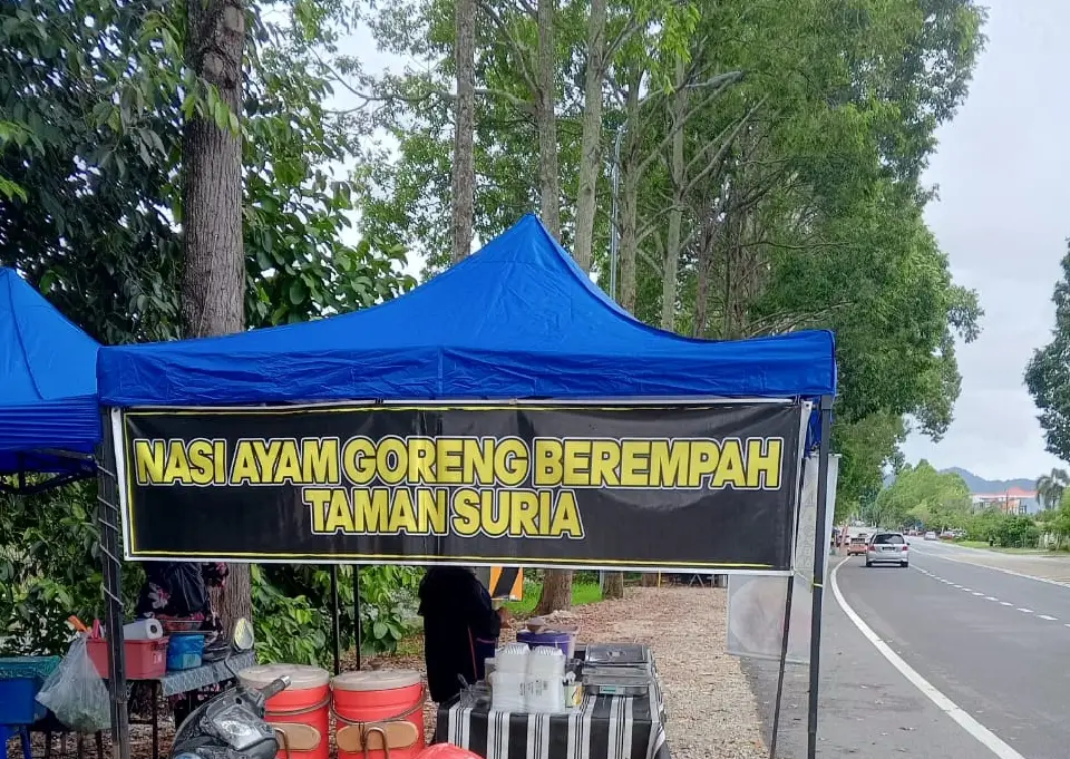 Nasi ayam goreng berempah taman suria